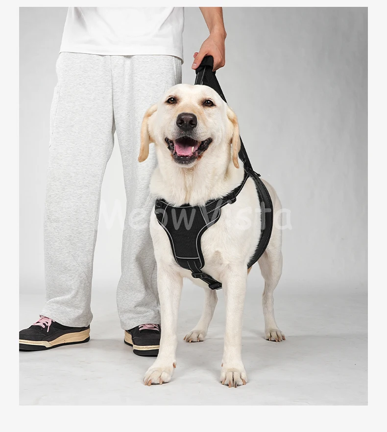 Dog Lift Harness Adjustable Reflective Rehabilitation Support Sling Mobility Aid for Old Injured Medium Large Dog Walking Assist