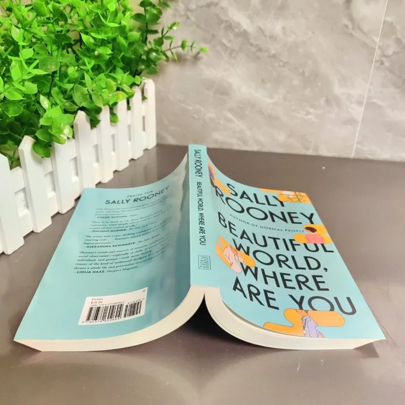 Bellissimo mondo dove sei di Sally Rooney Romanzo inglese