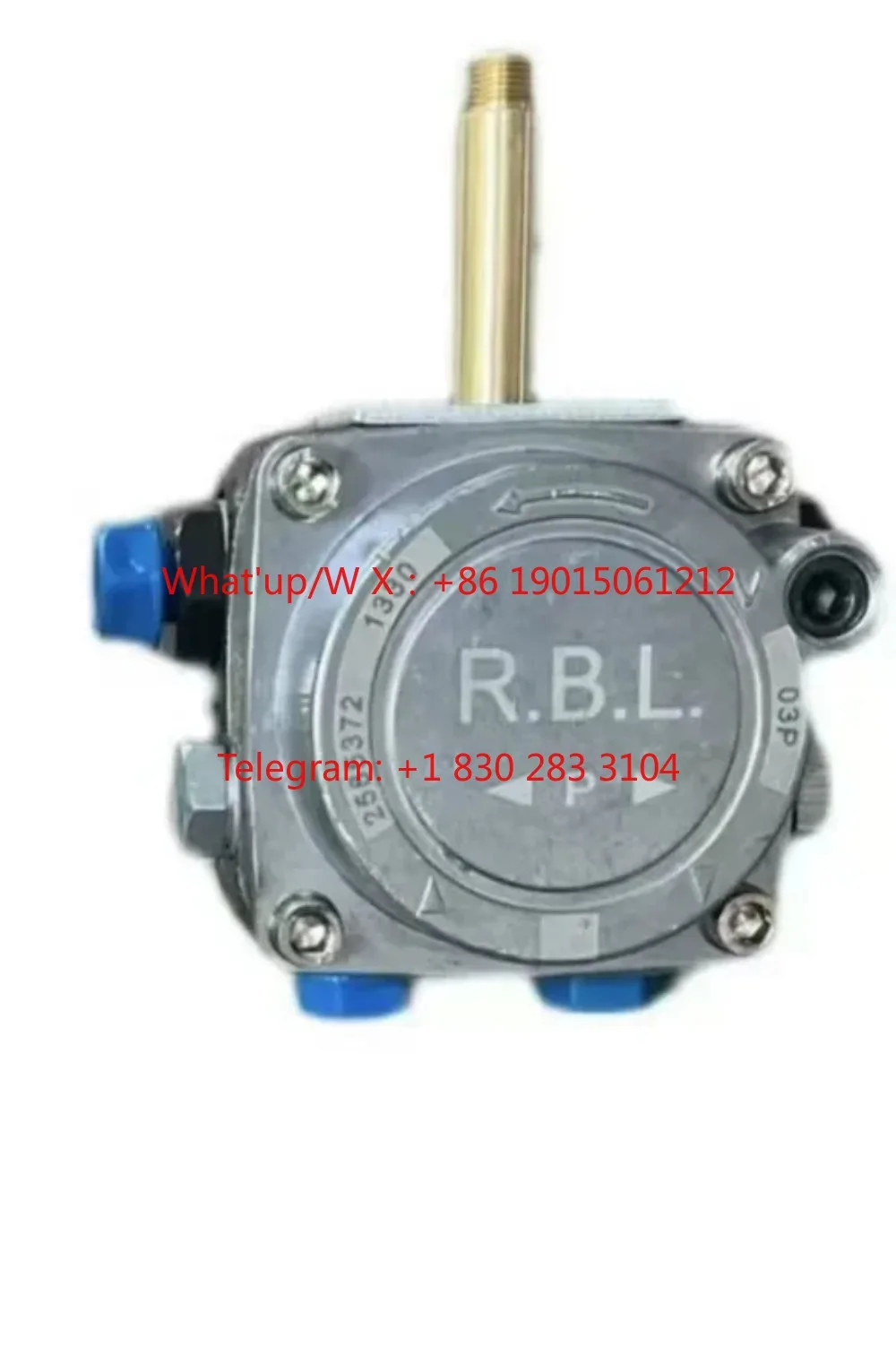 Product  Code 3007800 G3 5 10 20 Fuel pump diesel burner accessories Riallo RIELLO dedicated RBL