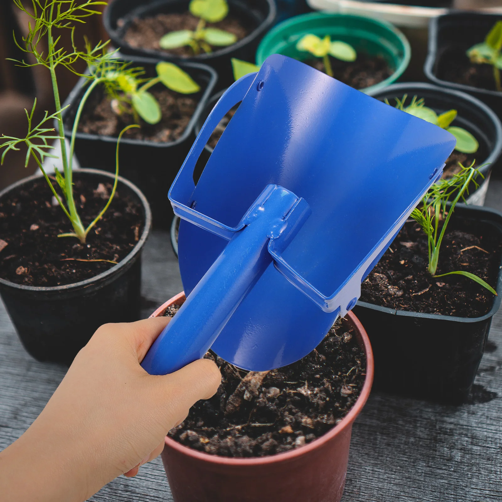 

Carbon Steel Shovel Hoe Hand Gardening Blue Trowel Small Yard Flowerbed Cultivation Tool Portable Metal Stainless Multi Use