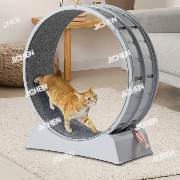 

Беговое колесо для кошек HN 31, пластиковая беговая дорожка для кошек с ковровым покрытием