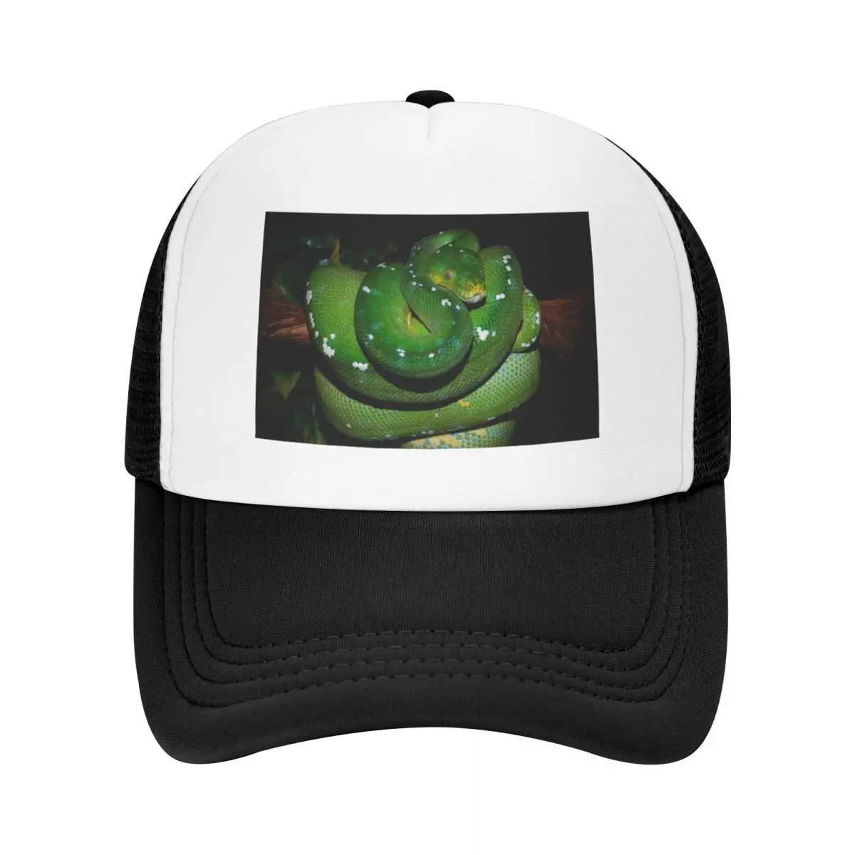 

Бейсбольная кепка Aru Green Tree Python, шляпа люксового бренда Rave, военная мужская и женская кепка