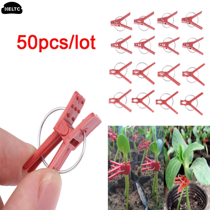 

50pcs/pack Durable Plastic Grafting Clamps Garden Plant Support Clamps Round Red Clamps For Gardening Vegetables Flowers Shrubs