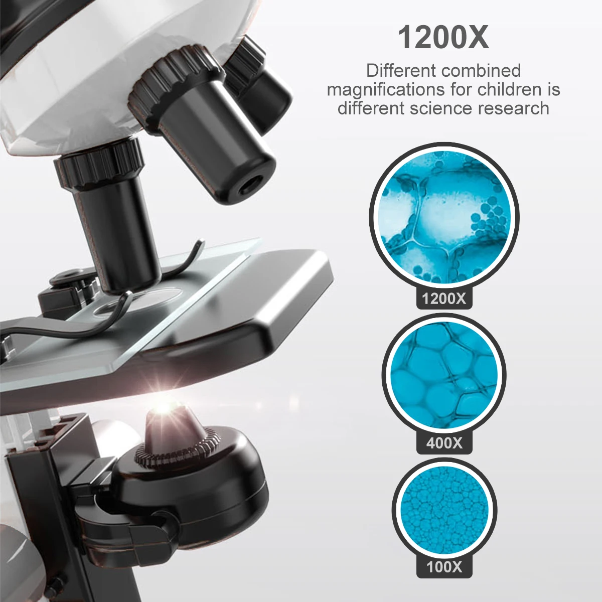 Zestaw mikroskopu dydaktycznego 100-1200X Wysokie powiększenie Student Nauka obserwacji biologicznej Okaz ze światłem suwakowym LED