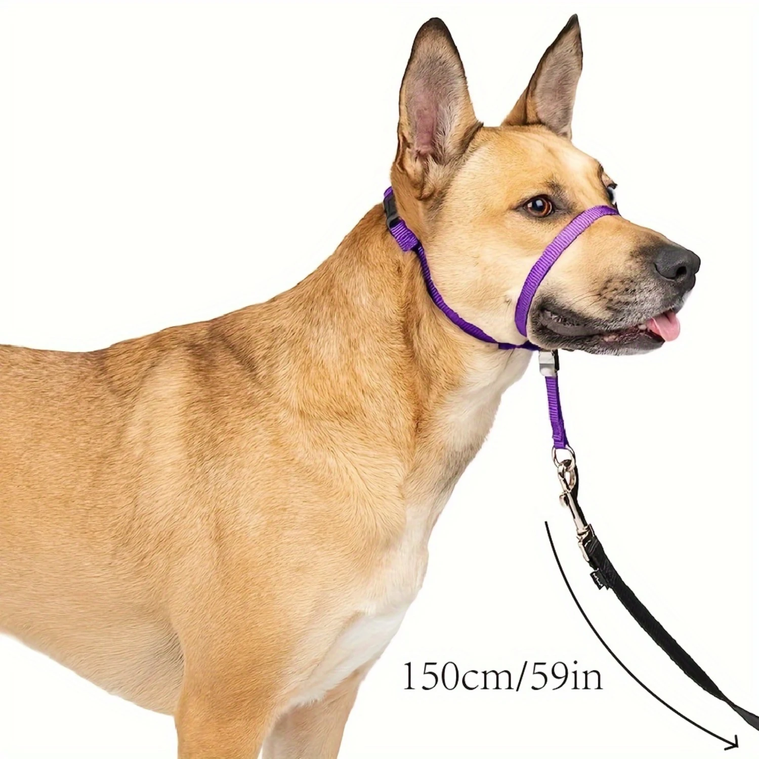 Nylon Dog Head Collar, Soft Padded Snout Muzzle, Gentle Cage Mouth Cover, Non-Pull Training Tool, Medium Breed Accessory with Le