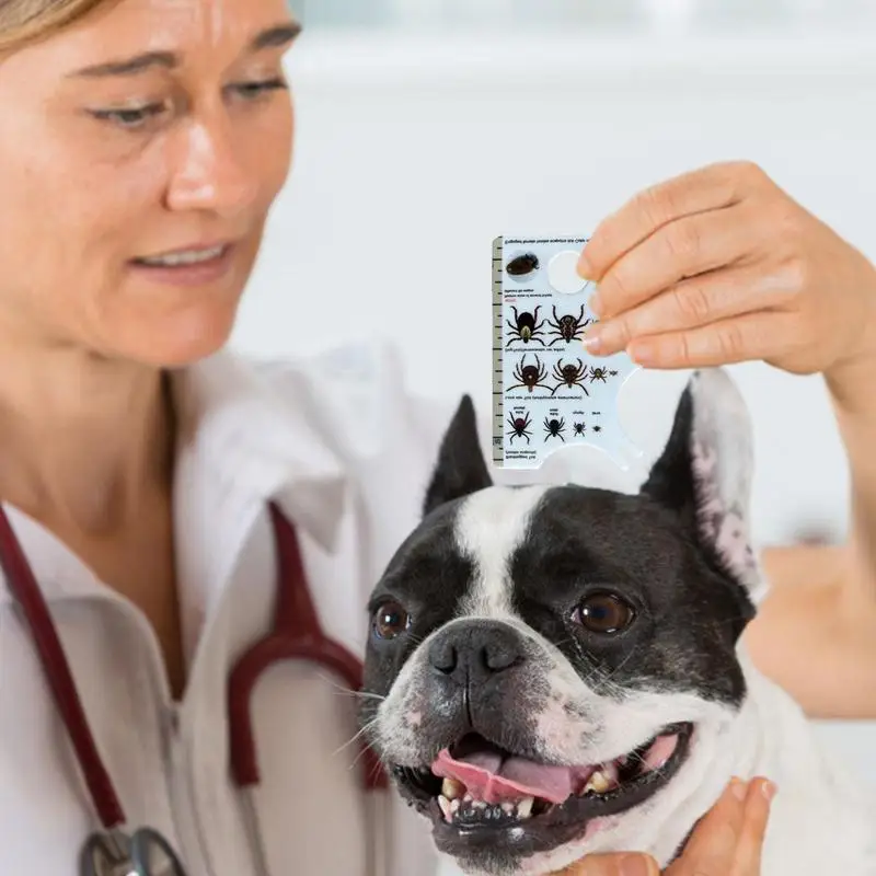 Tick Card With Magnifying Glass Allows Easy Removal Of Ticks Tick Remover For Dogs And Cats With Handy Pocket