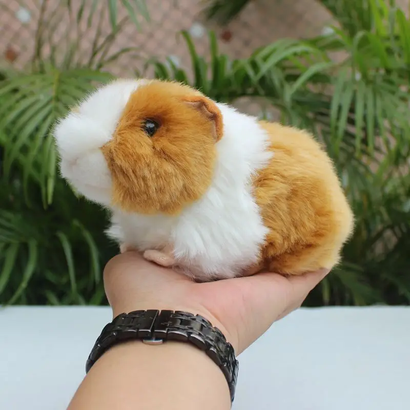 Simulated Animal Cavy Domesticated Guinea Pig Cavia Porcellus Mouse Rat Pet Model Plush Toy Stuffed Doll Girl Boy Birthday Gift