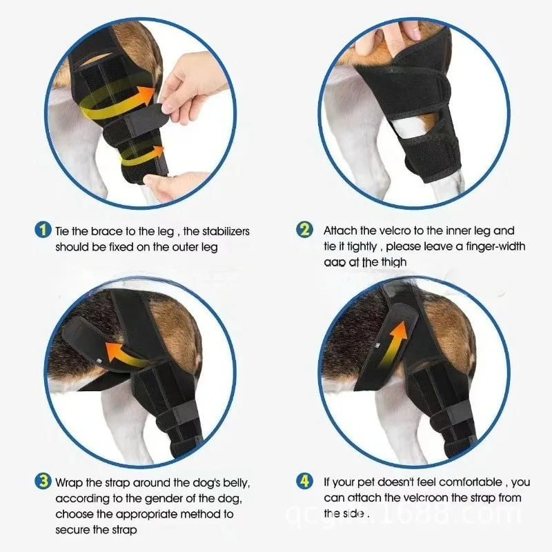 الكلب الخلفي دعم الساق هدفين الركبة التفاف إصابة الكلاب بعد الجراحة الانتعاش آلام المفاصل قابل للتعديل قابلة لإعادة الاستخدام الكلاب الخلفي الساق