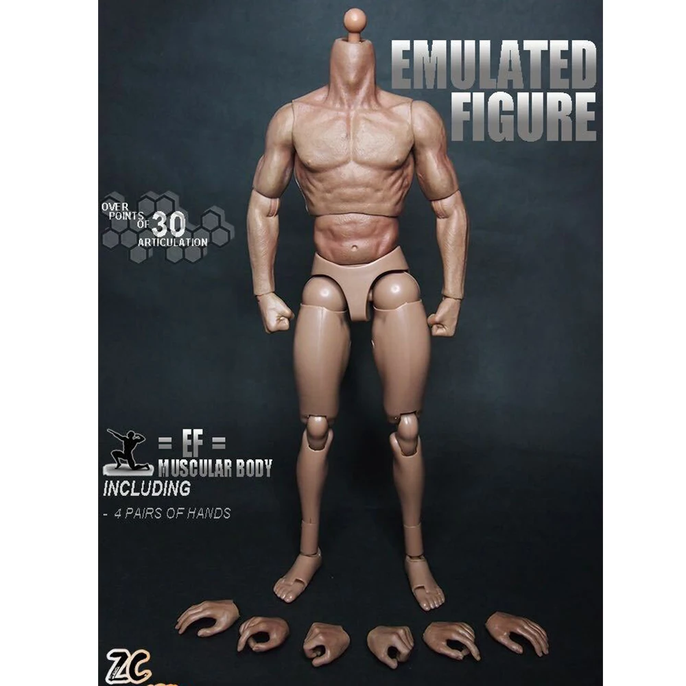 1/6 Scale Male Muscle Body S001 ZCtoys Like HTTTM19 12 Inch Military Solider Action Figure Body Model