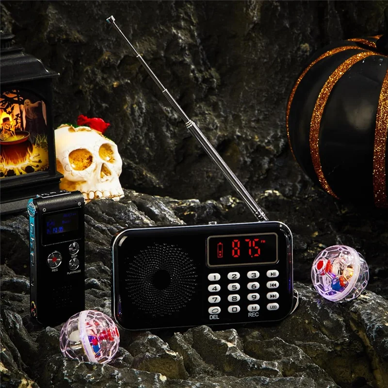 

B29C-4 Pcs FM Radio Equipment Kit With 8 GB Digital Voice Recorders & 2 LED Light Up Cat Ball Batteries For Scanning