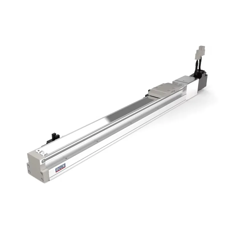 BC4G Model Linear Guides Rail-Embedded Screw Slide Table for Automated Processes Work Positioning Plug-In Assembly Clean Rooms