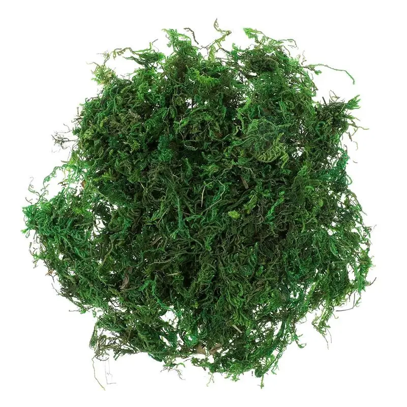 1 Pack Aftificial Preserved Moss Terrarium Green Moss Gardening Centerpieces Bonsai Moss Decor About 20G Fake Moss for Plants