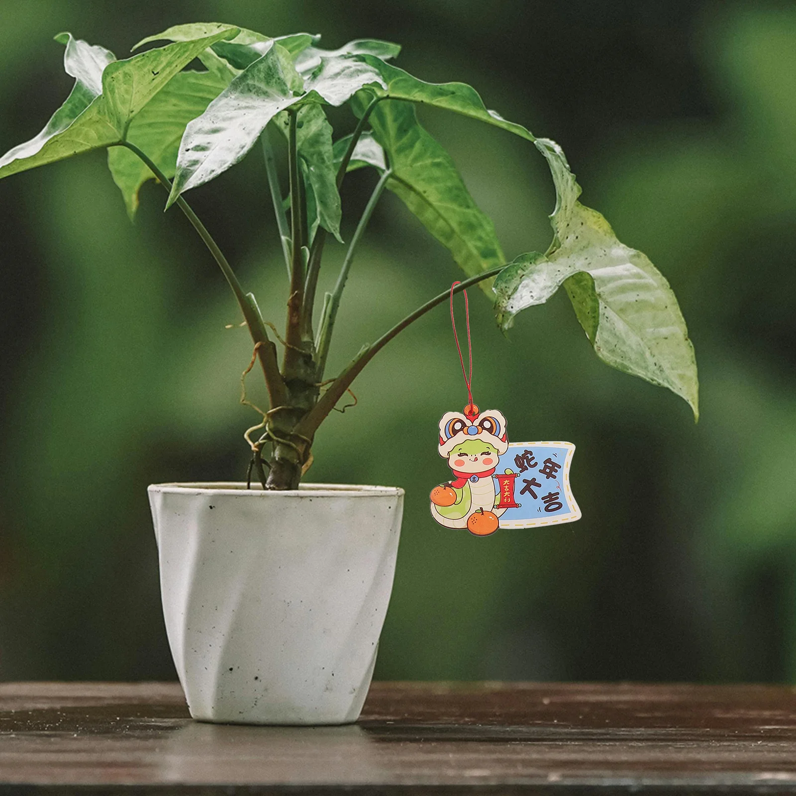 18 Pieces Lunar New Year Hanging Decoration Year of The Snake Intricate Design for Living Room Plant Pots Chinese Cultural