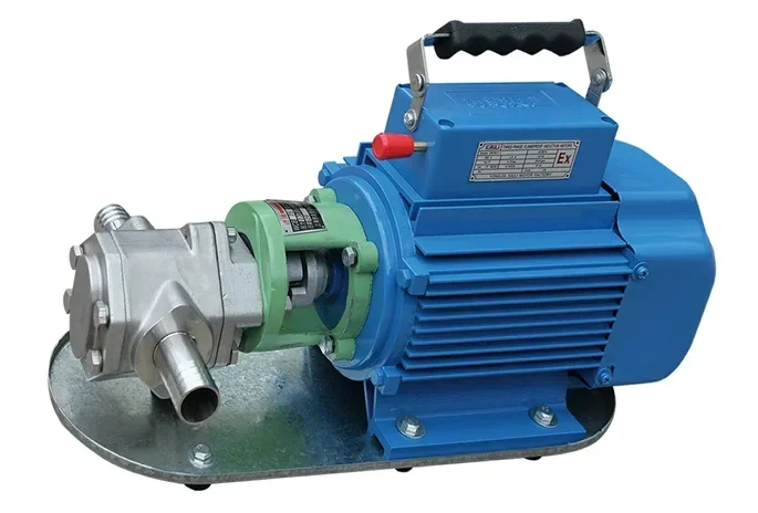 Oil Pump 304 Stainless Steel Constant Standard Belt Standard Wooden Box Horizontal Low Pressure 220 V 30m Customized