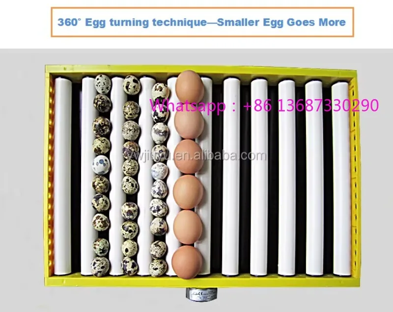 JX-180 High Hatchin…