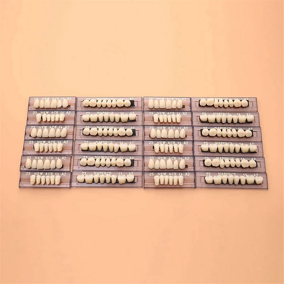 Dentadura De Resina Sintética Para Dentes De Terror De Halloween, Odontologia, Educação Odontológica, 168 Dentes