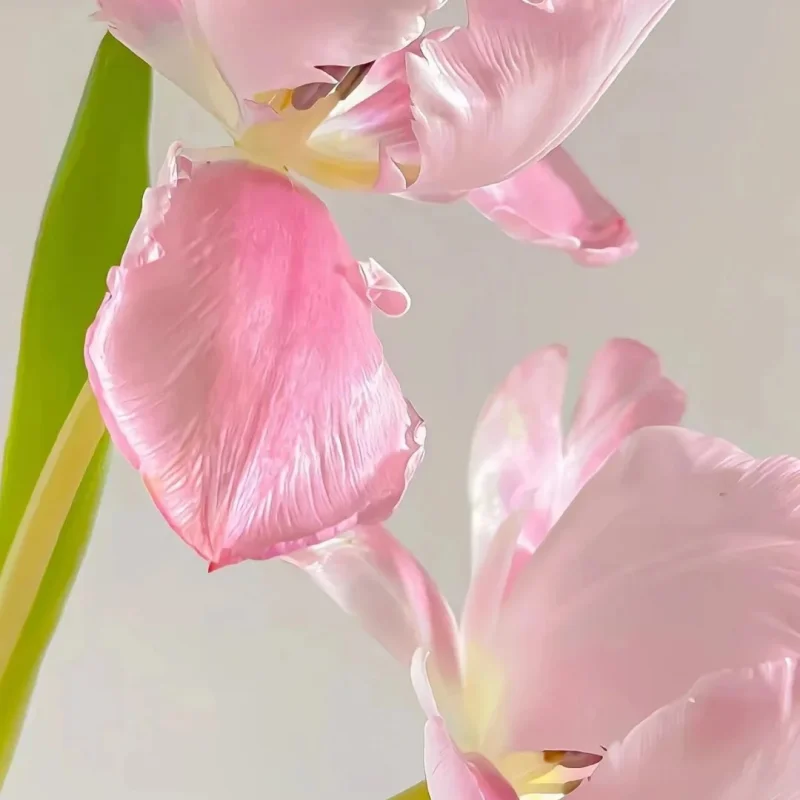 Haste de ligação de direção de metal, conjunto de amortecedor de assento para mn d90 MN-90 mn99s 1/12 rc, peças de atualização de carro, acessórios