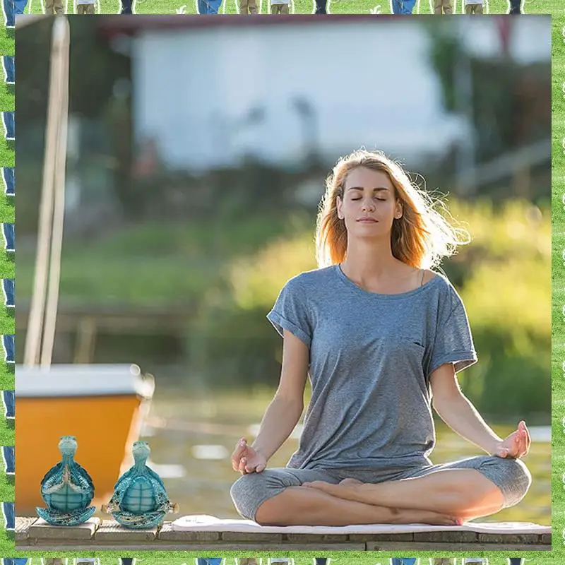 Fts Turtle- Meditat…