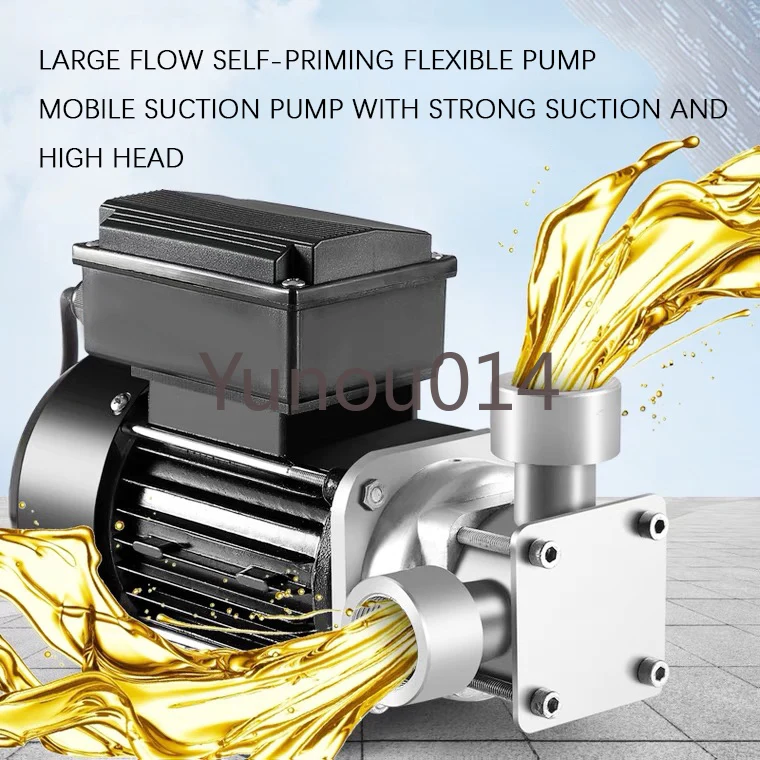 Self-Priming Stainless Steel Electric Oil Pump, Chemical, Diesel, Urea, Food, Honey Glue Lift, Flexible, 12V, 24V, 220V