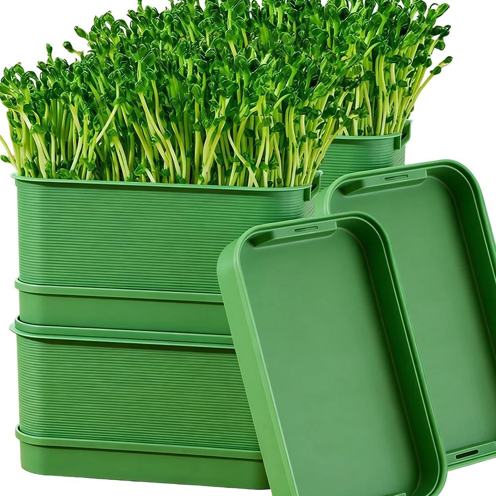 S/L Germination Seedling Tray Bean Sprouts Plate Hydroponic Propagator Mini Plant Soilless Nursery Tray Double Layer Growing Pot