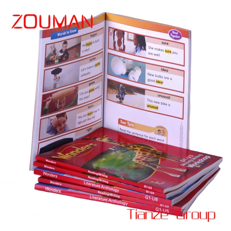 

Custom , Promotional OEM Customized Brochure/Booklet/Flyers/Leaflet/Pamphlet/Book & Magazine Printing Service