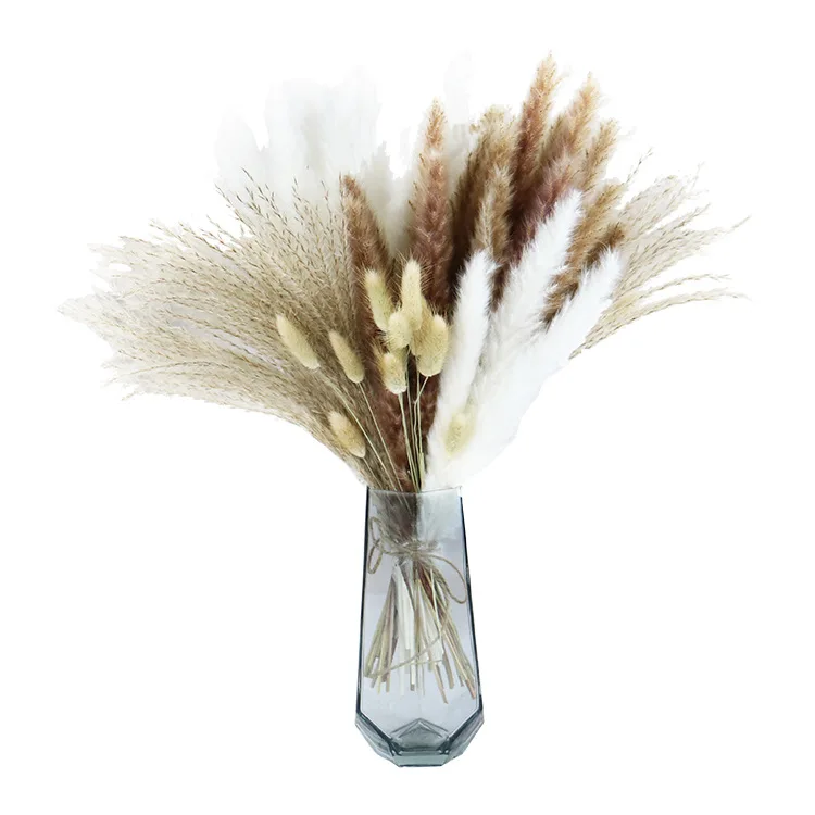 

Fluffy Pampas Grass Wedding Arrangement Decoration Rabbit Tail Grass Dried Flowers Bouquet Natural Phragmites Boho Home Decor