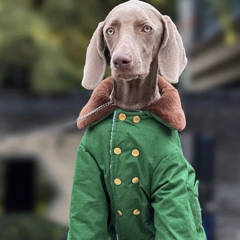 

Pet Dogs, Large Dogs, Winter Cotton-padded Jackets, Thick and Warm Green Cotton Coats, Samos, Labradors, Golden Retrievers