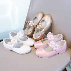 Autumn Girl's Mary Janes Appliques Low Heel Beautiful Kids Princess Shoe Three Colors Pointed Toe Breathable Children Shoe 26-36