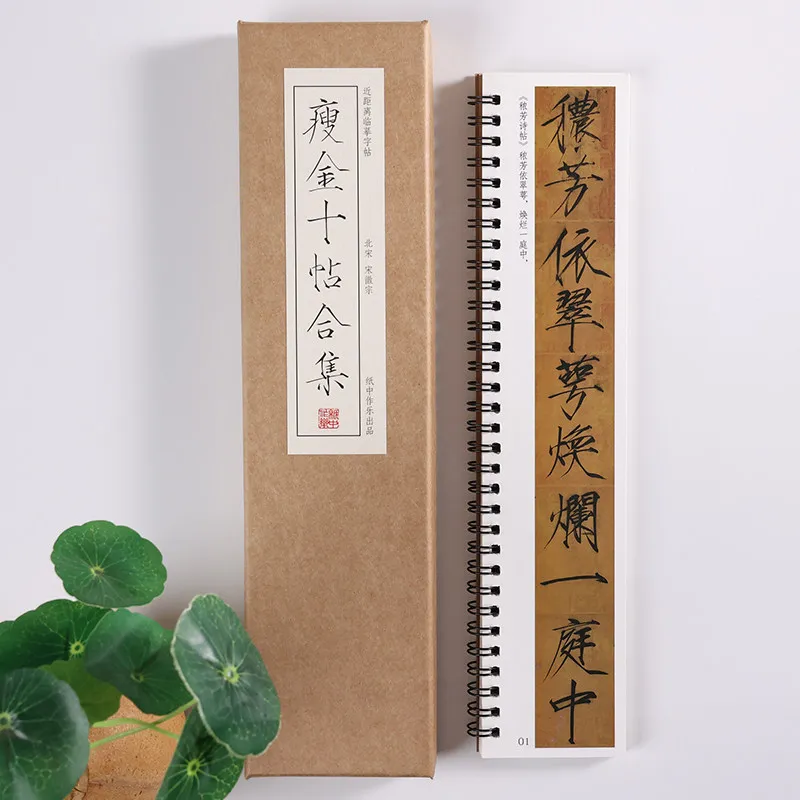 Song Huizong Slender Gold Script Calligraphy Copybook Writing Instrument Close Range Chinese Character Tracing Practice Booklet