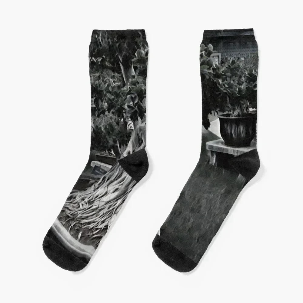 

Bonsai Garden Redesigned Socks Run winter Children's anime Men's Socks Luxury Women's