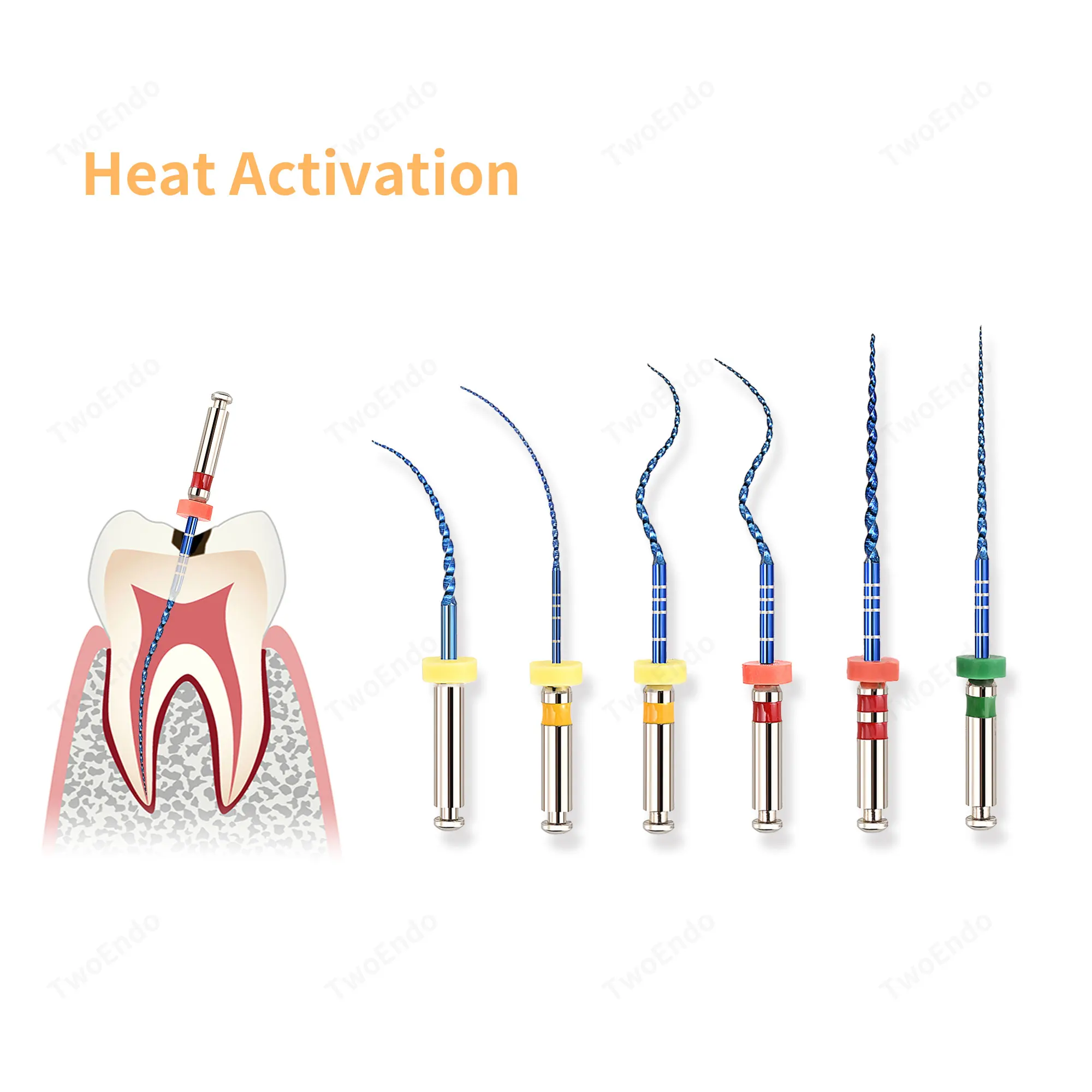 Dental Root Canal F…