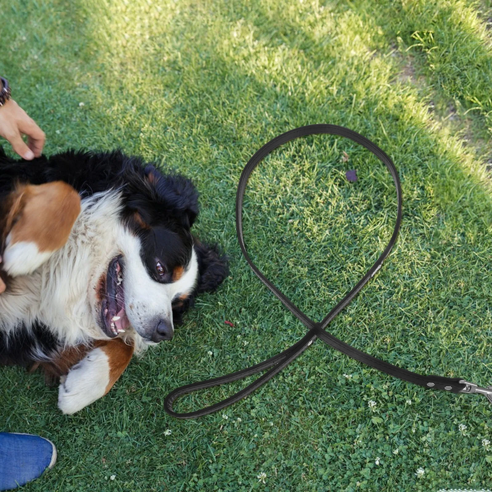 

Rhinestone Studded Pu Dog For Small Dogs Colorful Pet Walking Sparkly Training Leash Comfortable Outdoor Hiking Leash