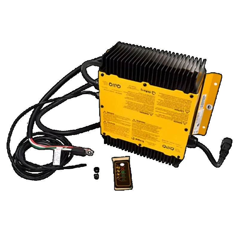 Q  Golf Cart Sightseeing Cart 48v Battery Charger