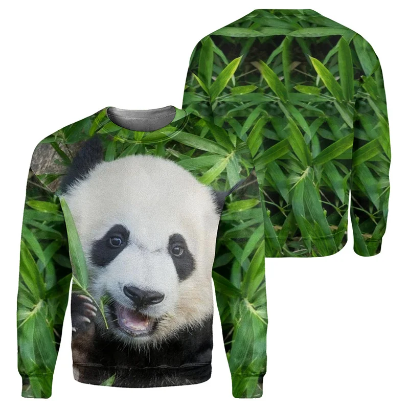 Panda Bear Gorilla 3D Print Animal Sweatshirt Men Casual Pullover Streetwear Male Crew Neck Long Sleeve Hoodies Kids Clothing