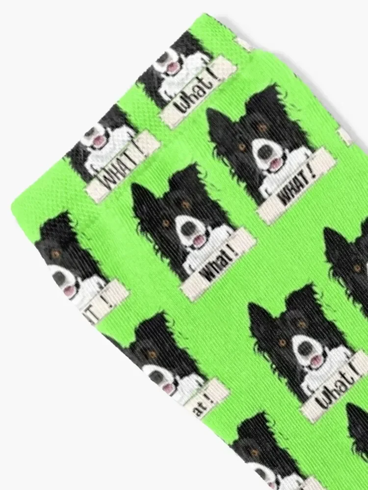 Border Collie What Stickers and Gifts Socks new year shoes colored hiphop Socks For Men Women's