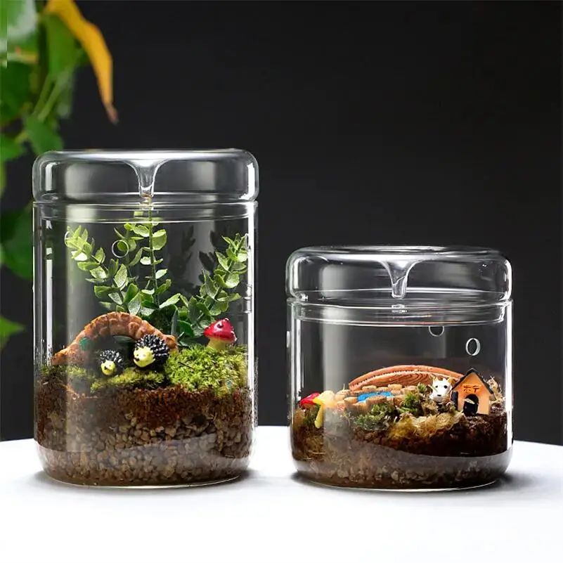 Landscape Moss Vase Indoor Planting Moss Plant Pots Eco Bottle Micro Hole Landscape Glass Cover Perforated Moss Greenhouse Cup