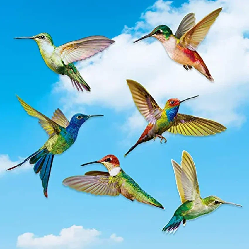 6 Pieces Hummingbird Window Clings Anti-Collision Window Clings Decals to Prevent Bird Non Adhesive Vinyl Cling Stickers view 6