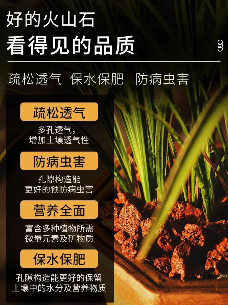 High Quality Firestone Special Soil Succulent Household Plant Material Breathable Volcanic Decor Aquarium Fish Tank Decoration