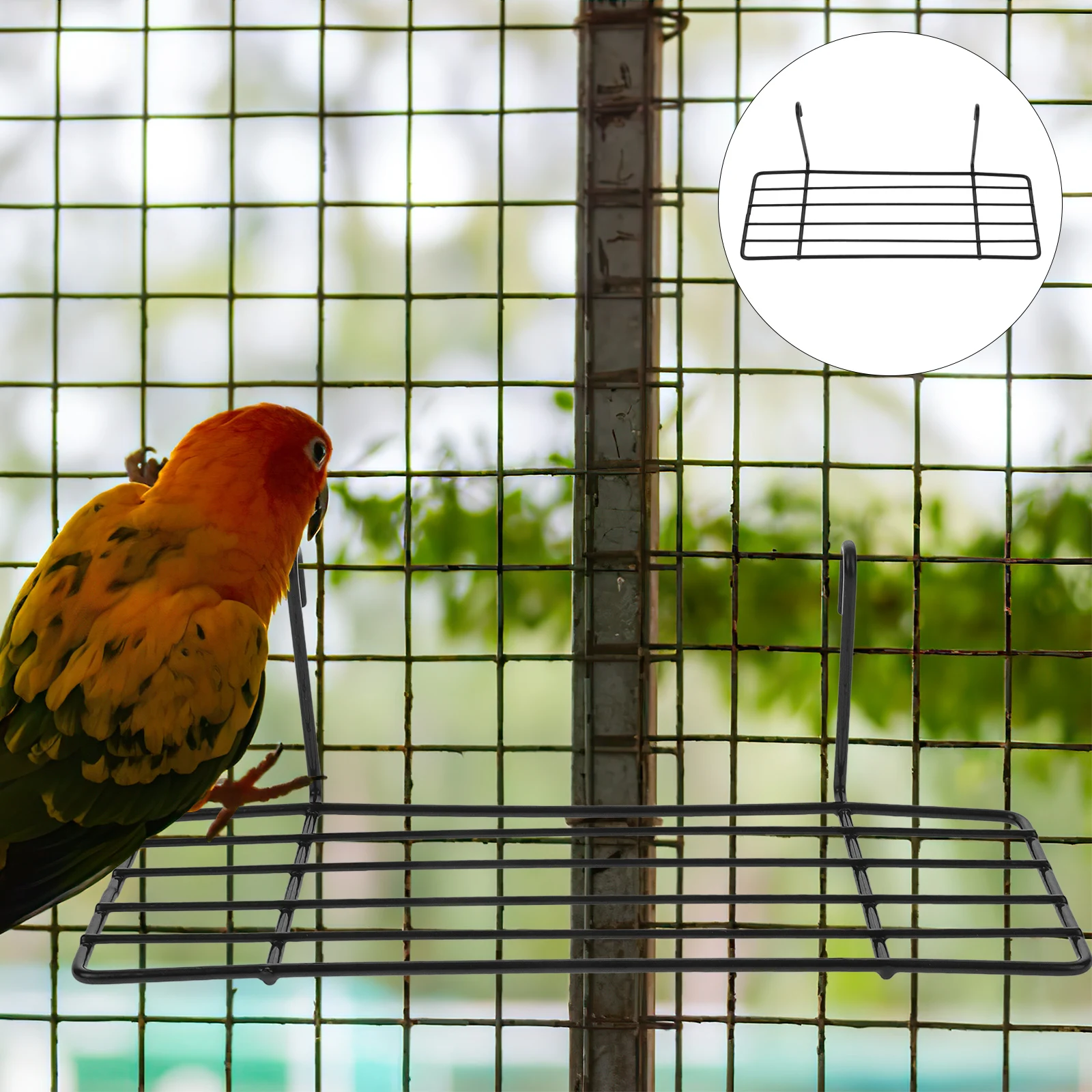 

Parrot Birdcage Shelves Grid Wall Shelf Iron Frame Sturdy Construction Super Load Bearing Practical Display Storage Pet Perch