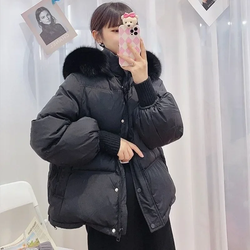 South Korea New Winter Parkas Jacket Women Short Loose Cotton-padded False Fox Fur Coat