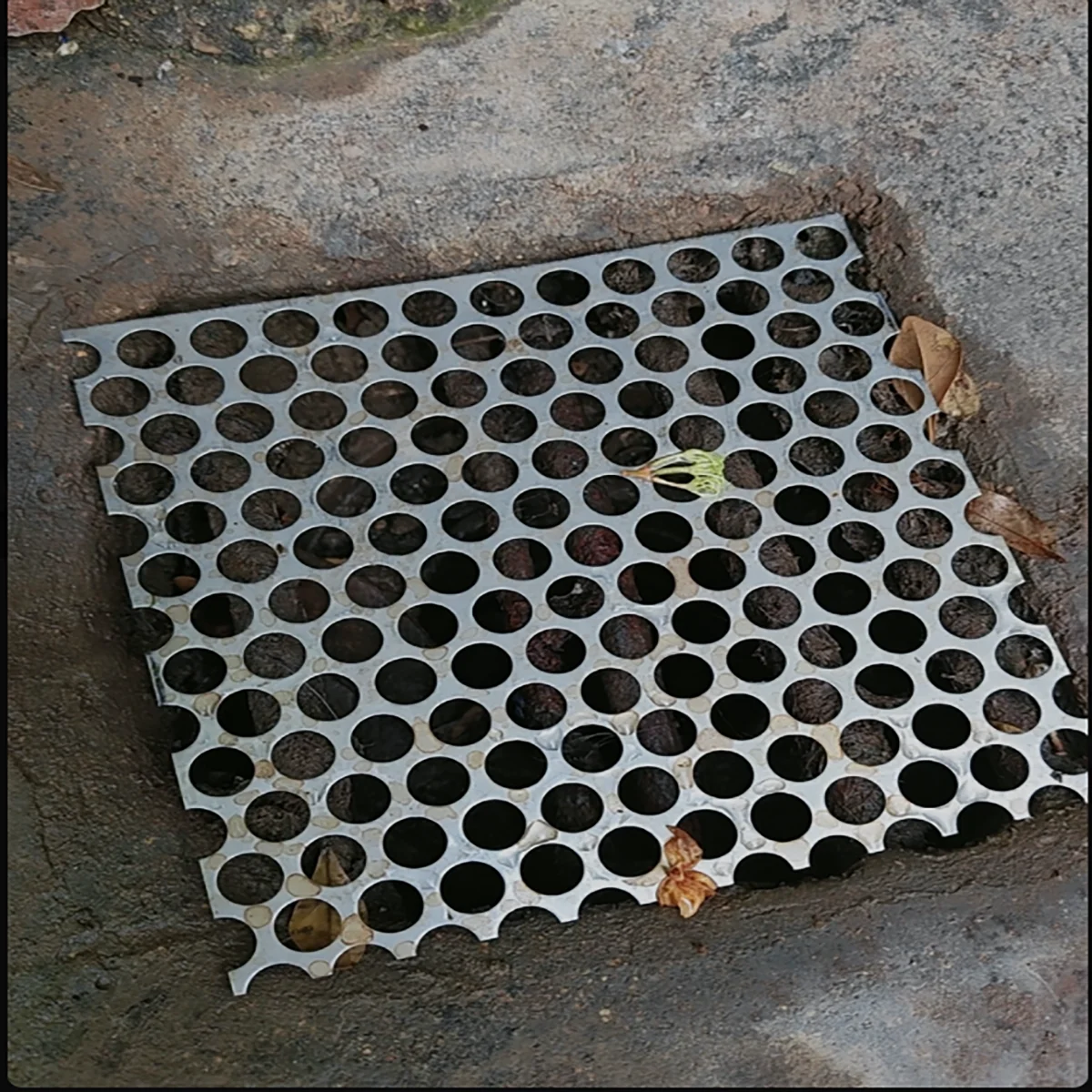 304 Stainless Steel Round Hole Perforated Sheet, Metal Plate for Filter, Drain Cover, Balcony Support, Custom Cutting Available