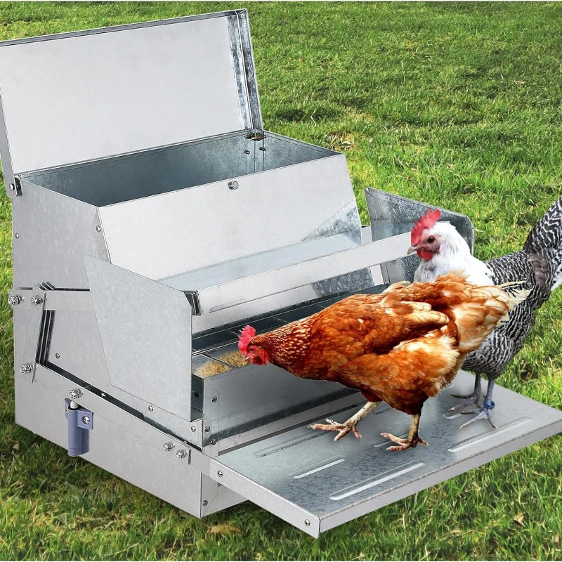 

Poultry Feeder, Chicken Treadle, Chicken Feeder