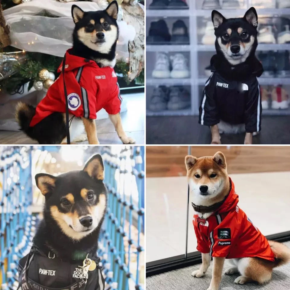 犬の反射レインコート,ペットのコート,ウインドブレーカー,フレンチブルドッグのパーカー,犬の服