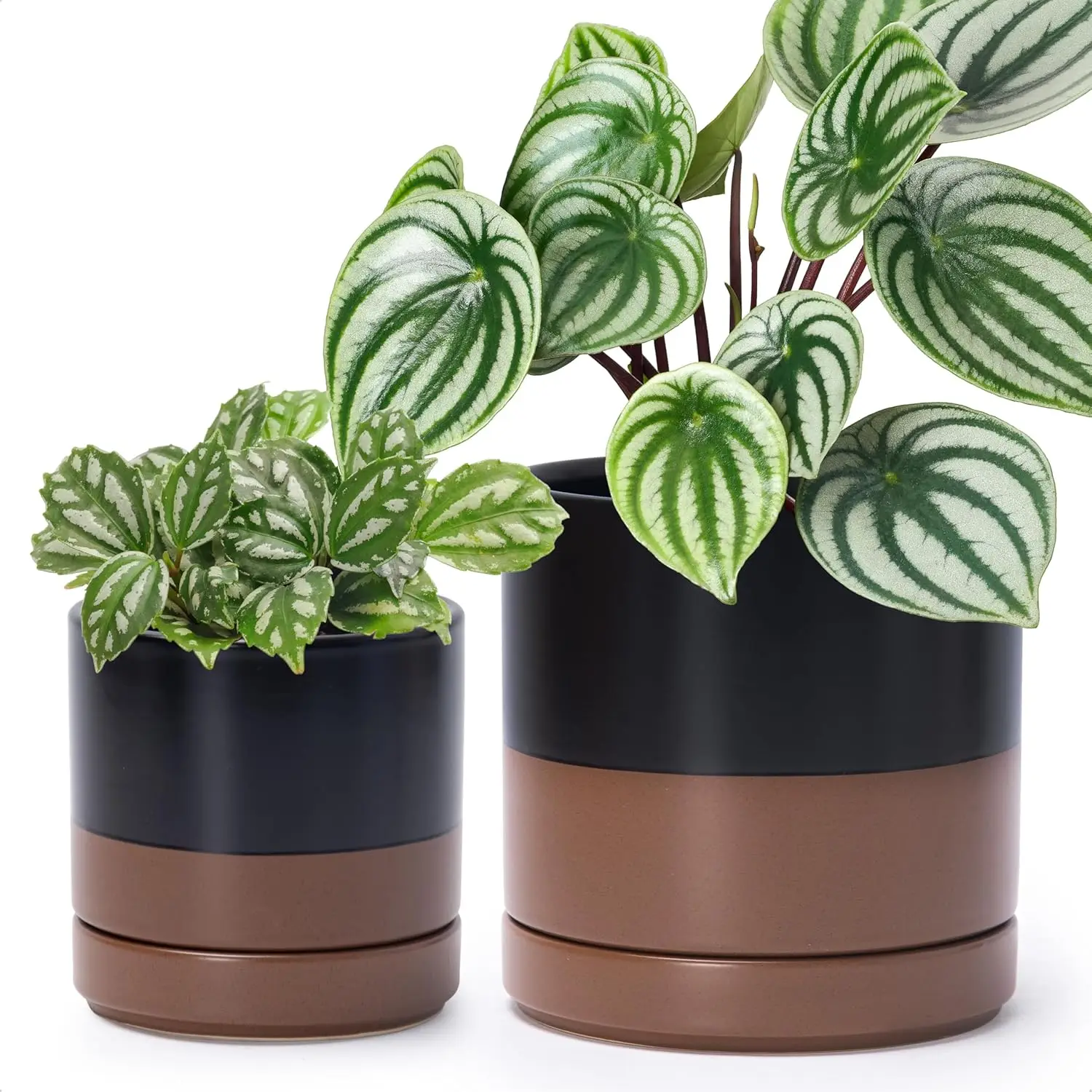 

4.7 Inch & 6.5 Inch Ceramic Planter Pots for Plants with Drainage Hole and Saucer, Small Plant Pots Set, Black/Speckled