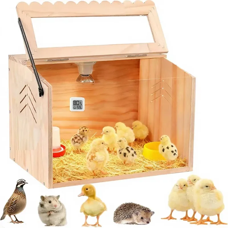 for  Classic Large Transparent Chicken Brooder Pet Feeding Quail Cage Ventilated Breathable Universal All Seasons Easy