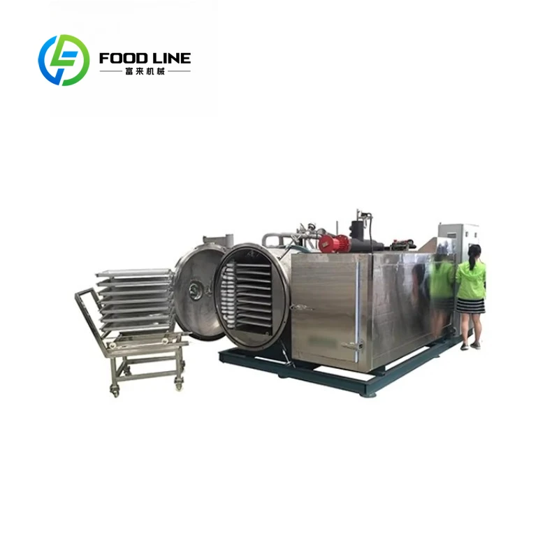 Customized size Industrial automatic freeze dryer for fruit and vegetable processing