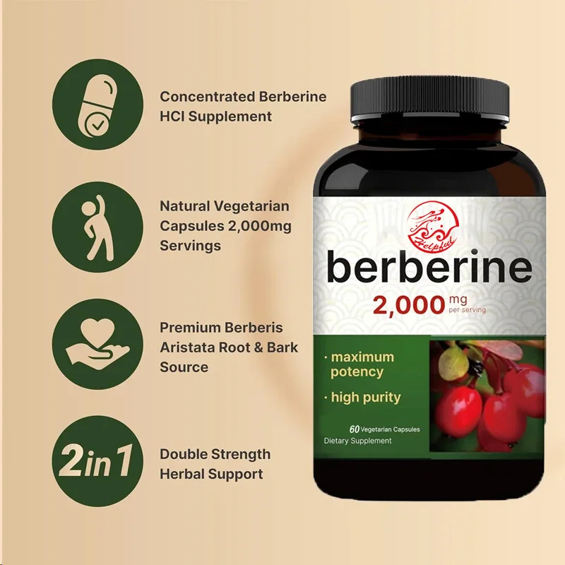 Berberine Supplement | 60 Vegetarian Capsules, 97% Pure Aspartate HCL - Plant based, Vegetarian, Non GMO