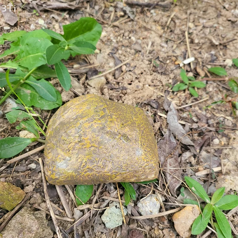 Scatola portachiavi simulata per nascondere chiavi Scatola portaoggetti con serratura per nascondere chiavi finte impermeabili decorative per esterni