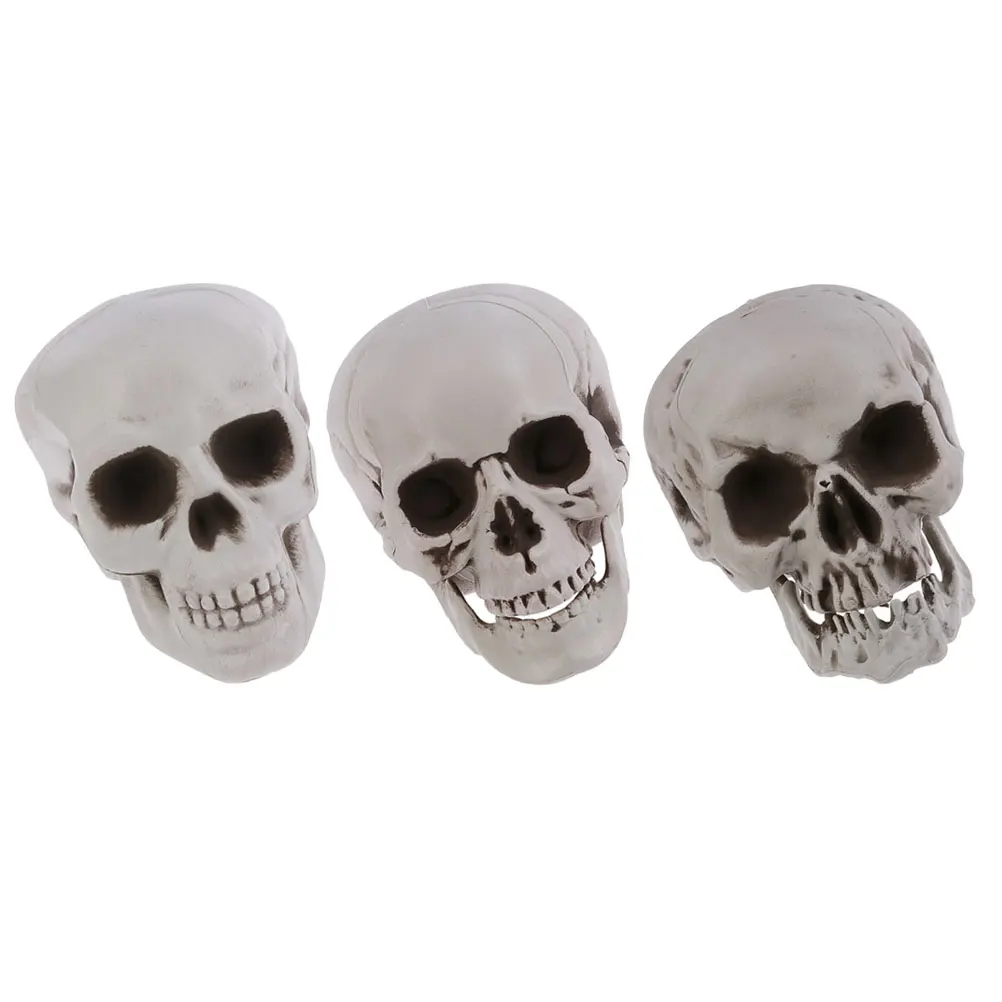 

Skull Props Halloween Simulated Fake s Plastic Heads Decor Realistic Decorations