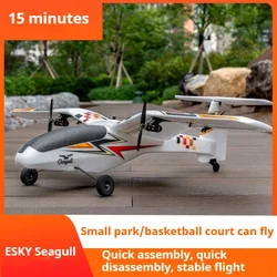 2024 New ESKY Seagull Double Brushless Motors Remote Control Fixed Wing Beginner Remote Control Model Aircraft Training Machine